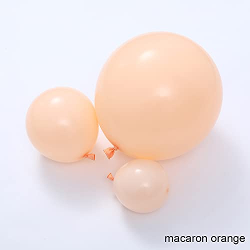 DUBEDAT Daisy Balloon Garland Arch Kit 163Pcs White Daisy Flower Macaron Pink Yellow Orange Balloons Garland for Baby Shower Birthday Wedding Groovy Flower Party Decoration