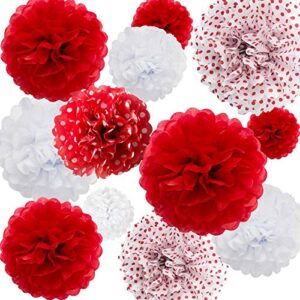 ansomo red tissue paper pom poms flowers wall hanging party decorations 12″ 10″ 8″ 6″ pack of 12, red & white