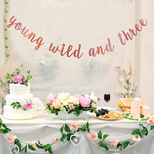 Rose Gold Glitter Young Wild and Three Banner - Happy 3rd Birthday Boy Girl Party Decorations - Great for Baby Shower Boho Tribal Themed 3rd Birthday Party Decor