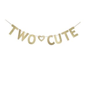 Two Cute Banner, Gold Glitter Paper Sign for Baby's 2nd Birthday Party Decors Supplies