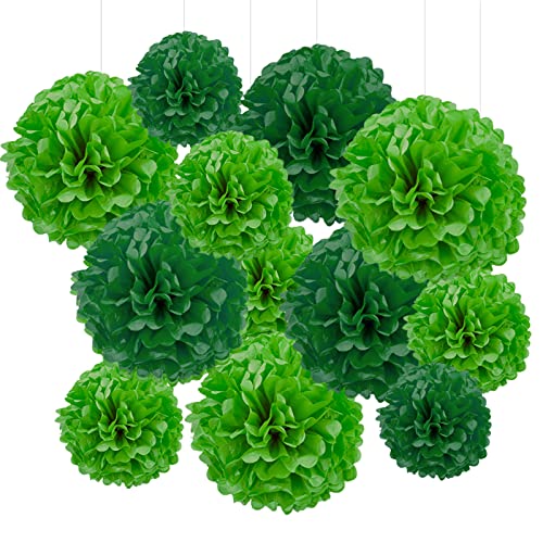 Dark Green Tissue Hanging Paper Pom Poms,Light Green Pom Poms Flower Ball Wedding Birthday Party Decoration （6Pcs 12in Pom Pom & 6Pcs 10in Pom Pom）