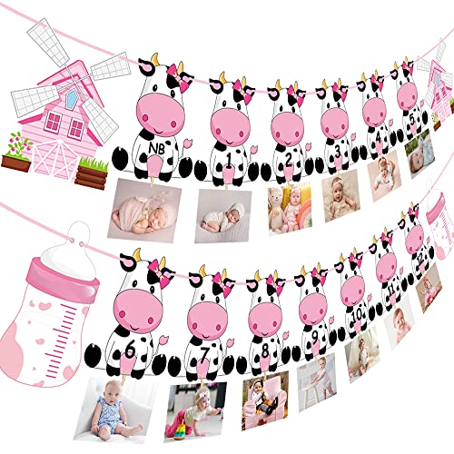 Cow First Birthday Party Decoration for Girls Pink Cow Theme 1st Birthday Photo Banner for Newborn to 12 Months for Baby Girls Farm Theme 1st Birthday Party Supplies