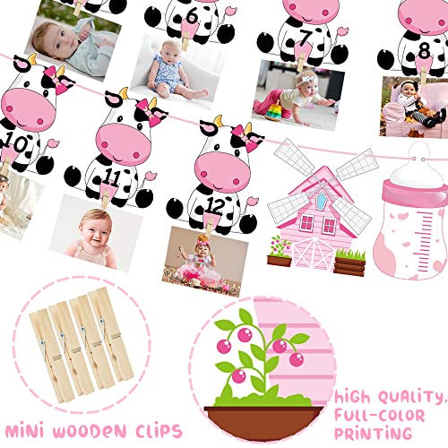 Cow First Birthday Party Decoration for Girls Pink Cow Theme 1st Birthday Photo Banner for Newborn to 12 Months for Baby Girls Farm Theme 1st Birthday Party Supplies