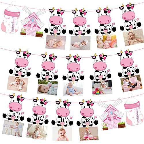 Cow First Birthday Party Decoration for Girls Pink Cow Theme 1st Birthday Photo Banner for Newborn to 12 Months for Baby Girls Farm Theme 1st Birthday Party Supplies