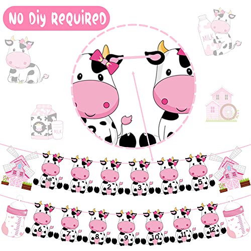 Cow First Birthday Party Decoration for Girls Pink Cow Theme 1st Birthday Photo Banner for Newborn to 12 Months for Baby Girls Farm Theme 1st Birthday Party Supplies