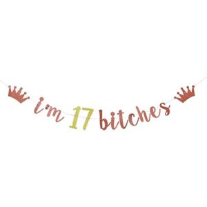 i’m 17 bitches banner, 17th birthday party decor, funny seventeen years old birthday banner, girl’s 17th birthday party decorations (rose gold)