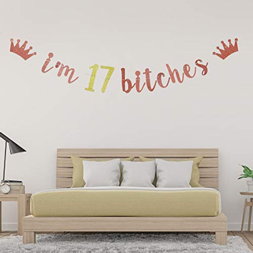 I'm 17 Bitches Banner, 17th Birthday Party Decor, Funny Seventeen Years Old Birthday Banner, Girl's 17th Birthday Party Decorations (Rose Gold)