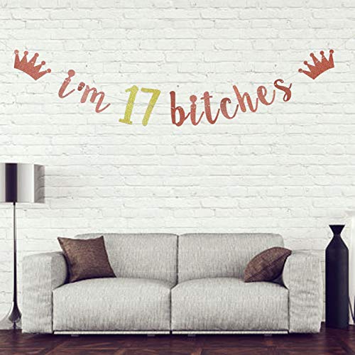 I'm 17 Bitches Banner, 17th Birthday Party Decor, Funny Seventeen Years Old Birthday Banner, Girl's 17th Birthday Party Decorations (Rose Gold)