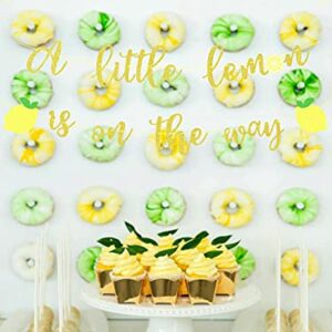 A Little Lemon is on the Way Banner, Gold Glitter Baby Shower Theme Party Decorations, Boys Girls Birthday Party Supplies