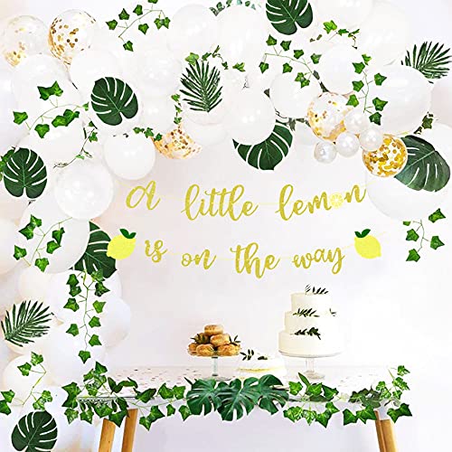 A Little Lemon is on the Way Banner, Gold Glitter Baby Shower Theme Party Decorations, Boys Girls Birthday Party Supplies