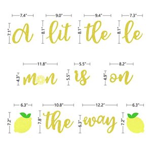 A Little Lemon is on the Way Banner, Gold Glitter Baby Shower Theme Party Decorations, Boys Girls Birthday Party Supplies