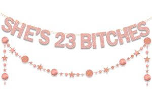 ushinemi she’s 23 bitches banner 23rd birthday decorations for women, funny glitter rose gold birthday banner with circle dot twinkle star garland
