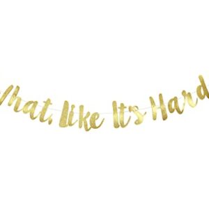 what like it's hard？banner，law school graduation banner, law school acceptance, entrance decorations, funny graduation decorations, party banner