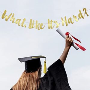 what like it's hard？banner，law school graduation banner, law school acceptance, entrance decorations, funny graduation decorations, party banner