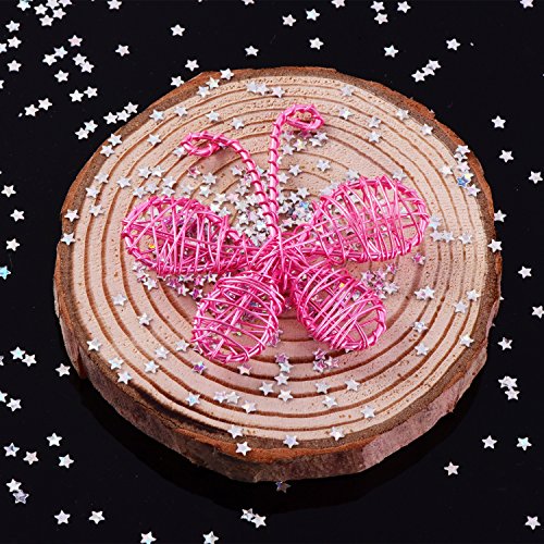 EBOOT 100 Gram Stars Confetti Glitter Star Sequins for Crafts DIY Nail Art and Party Decoration, Holographic Silver