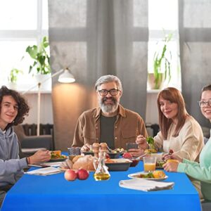 28 Pack Disposable Plastic Tablecloth Rectangle Table Cover 54 x 108 Inches, Disposable Table Clothes for Rectangle Tables Rectangular Plastic Table Cloths for Picnic Camping Party Wedding (Blue)