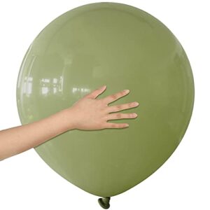 10 pcs 18 inches sage green balloons large grass green balloons huge olive green balloon for wedding birthday baby shower engagement summer eucalyptus jungle safari party decoration (grass green)