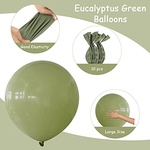 10 Pcs 18 Inches Sage Green Balloons Large Grass Green Balloons Huge Olive Green Balloon for Wedding Birthday Baby Shower Engagement Summer Eucalyptus Jungle Safari Party Decoration (Grass Green)