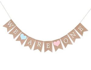 twins banner for 1st birthday – we are one banner, twins birthday party banner, twins frist birthday decor, girls boys first birthday decoration,photo prop