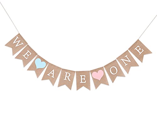 Twins Banner for 1st Birthday - We Are One Banner, Twins Birthday Party Banner, Twins Frist Birthday Decor, Girls Boys First Birthday Decoration,Photo Prop