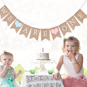 Twins Banner for 1st Birthday - We Are One Banner, Twins Birthday Party Banner, Twins Frist Birthday Decor, Girls Boys First Birthday Decoration,Photo Prop