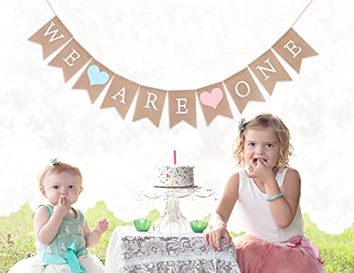 Twins Banner for 1st Birthday - We Are One Banner, Twins Birthday Party Banner, Twins Frist Birthday Decor, Girls Boys First Birthday Decoration,Photo Prop