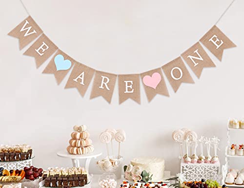 Twins Banner for 1st Birthday - We Are One Banner, Twins Birthday Party Banner, Twins Frist Birthday Decor, Girls Boys First Birthday Decoration,Photo Prop