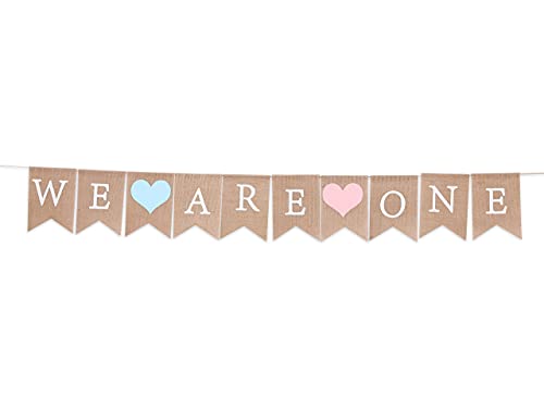 Twins Banner for 1st Birthday - We Are One Banner, Twins Birthday Party Banner, Twins Frist Birthday Decor, Girls Boys First Birthday Decoration,Photo Prop