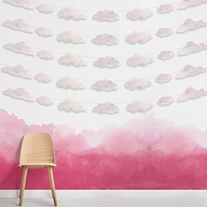 Cloud Party Decoration Kit Garland White Pink Marble Paper Cutouts Streamer Supply Hanging Banner for Birthday Baby Shower Graduation Wedding Under The Sea Kids Room Nursery Backlgroud (Pink Marble)