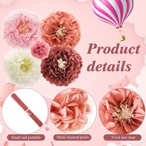 24 Pieces Dusty Rose Tissue Paper Flowers Large 14'' Paper Pom Poms Flowers Decor Paper Puff Flower Ball for Wedding Baby Shower Bachelorette Birthday Party Decoration, 14'' 12'' 10 '' 8'' 6'' 4''