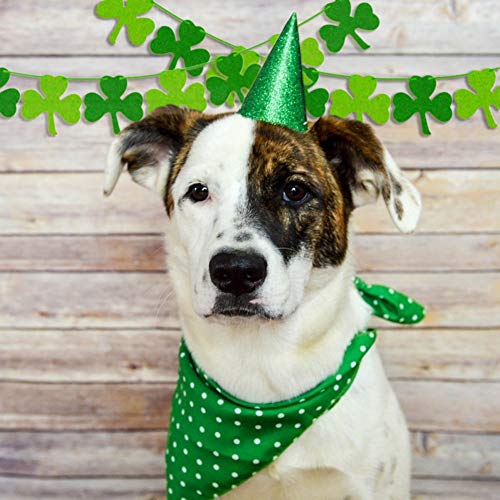 ONTODEX St. Patrick 's Day Garland Decorations, 2 Pre-Strung Felt Shamrock Clover Garland Banners & 18 St. Patrick 's Day Shamrock Assorted Cutouts, Perfect Irish Party Supplies