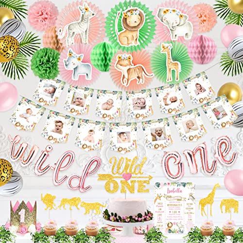 Wild One Birthday Decorations Girl, Homond 1st Birthday Girl Decorations Supplies Kit, Boho Floral 1st Birthday Pink