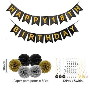 Luxiocio Happy 18th Birthday Party Decorations Supplies Kit - 19Pcs - 1Pcs Happy 18th Birthday Banner, 12Pcs Sparkling Hanging Swirl, 6Pcs Poms - 18 Year Old Birthday Decorations for Girls & Boys