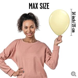 Qualatex 11" Ivory Silk Balloons (100ct) by Pioneer Balloon Company