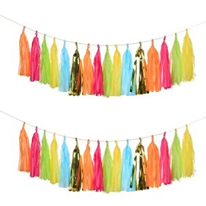 guzon 30pcs taco bout a party tassel garland tissue paper tassels banner diy kit baby shower party taco tuesday fiesta party bachelorette llama party decorations