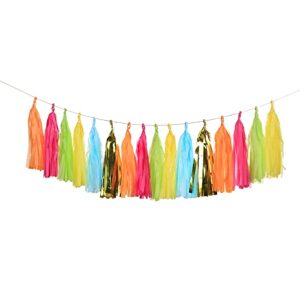 GUZON 30PCS Taco Bout a Party Tassel Garland Tissue Paper Tassels Banner DIY Kit Baby Shower Party Taco Tuesday Fiesta Party Bachelorette Llama Party Decorations