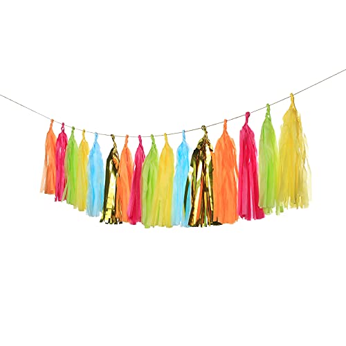 GUZON 30PCS Taco Bout a Party Tassel Garland Tissue Paper Tassels Banner DIY Kit Baby Shower Party Taco Tuesday Fiesta Party Bachelorette Llama Party Decorations