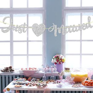 Just Married Banner for Wedding Bachelorette, Bridal Shower, Engagement Party Decoration Silver Gliter Sign, Mr and Mrs Sign