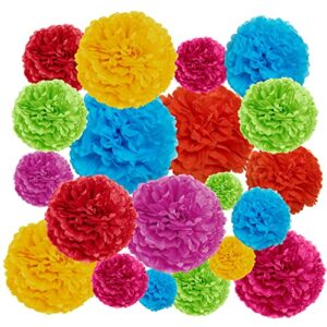 epiqueone 20-piece paper pom poms party kit, tissue pom pom decorations; birthday party decorations – bridal shower, baby shower, bachelorette – easy to assemble and install, rainbow (multicolor)