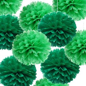14" Green Tissue Pom Poms Kit DIY Decorative Paper Flowers Ball for Birthday Party Wedding Baby Shower Home Outdoor Hanging Decorations, Pack of 10