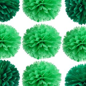 14" Green Tissue Pom Poms Kit DIY Decorative Paper Flowers Ball for Birthday Party Wedding Baby Shower Home Outdoor Hanging Decorations, Pack of 10