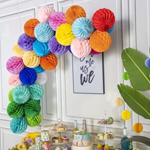 Lime Green Honeycomb Balls Birthday Party Decorations 6pcs 8 inch Hanging Tissue Paper Balls Pom Poms Honeycomb Balls Party Decorations for Birthday Wedding Baby Shower Home Decor