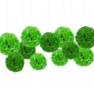 Light Green Tissue Paper pom poms Decorations,Dark Green Tissue Hanging Paper Pom Poms,GreenTissue Hanging Paper Pom Poms Flower Ball Wedding Birthday Party DecorationBaby Shower Decorate Pack of 12