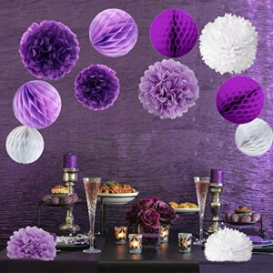 Cocodeko Tissue Paper Pompoms and Honeycomb Balls for Birthday Party Wedding Baby Shower Bridal Shower Festival Decorations - Purple, Lavender and White