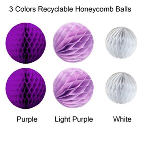 Cocodeko Tissue Paper Pompoms and Honeycomb Balls for Birthday Party Wedding Baby Shower Bridal Shower Festival Decorations - Purple, Lavender and White