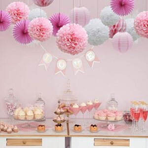 16pcs Pink Party Decorations Paper Pom Poms Honeycomb Balls Lanterns Tissue Fans for Birthday Wedding Baby Shower Graduation Valentine Party Supplies