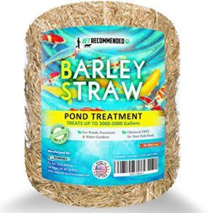 vet recommended barley straw for fish ponds and fountain (16 oz). treats up to 3000 to 5000 gallons, 100% safe & natural pond cleaner. keeps your water garden clean & fresh. made in usa