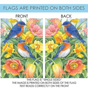 Toland Home Garden 119968 Eastern Bluebirds Spring Flag 12x18 Inch Double Sided Spring Garden Flag for Outdoor House Bird Flag Yard Decoration