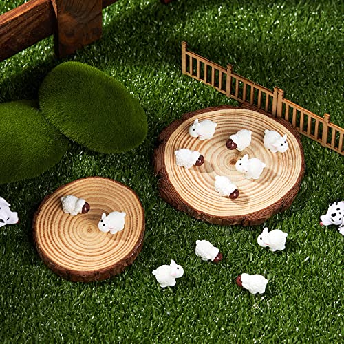 48 Pcs Mini Garden Miniature Sheeps Small Herd of Sheeps Fairy Garden Sheep Toy Resin Sheep Figurine Tiny Lambs Miniature Garden Figurines Moss Micro Landscape Decoration DIY Craft Resin Home Decor