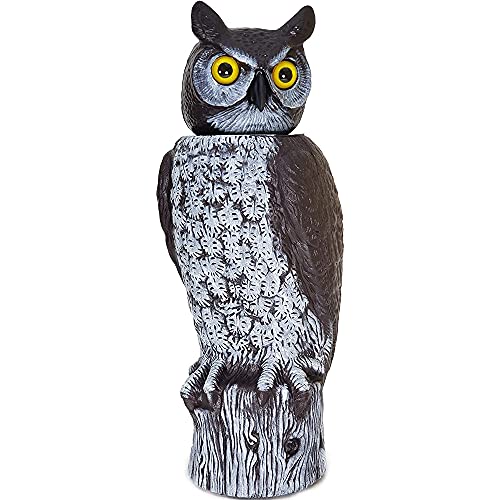 Dalen Fake Owl Decoy to Scare Birds Away from Gardens, Rooftops, and Patios - Scarecrow Provides Chemical-Free Pest Control - Safe and Humane, 18" 360º Rotating Head